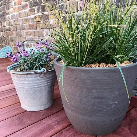 Zus Of So Dom wakacyjny Ostenda