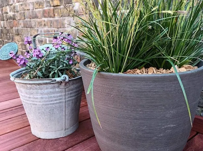 Zus Of So 度假居 奥斯滕德