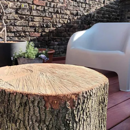 Zus Of So Dom wakacyjny