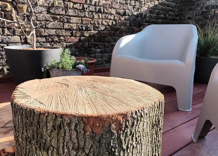 Zus Of So Dom wakacyjny